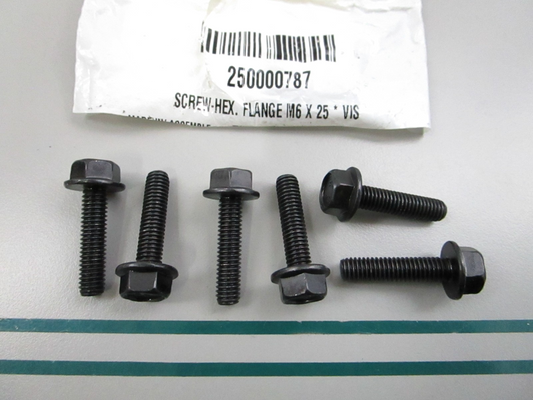 NEW OEM (LOT OF 6) 250000787 Can-Am Screw 0810