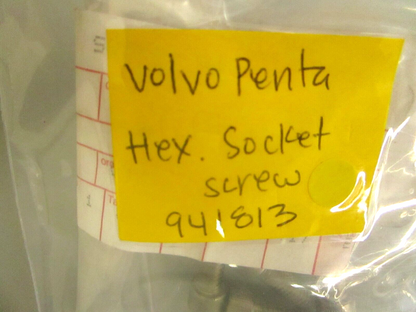 *NEW OEM* 0750 Volvo Penta HEX SOCKET SCREW 941813