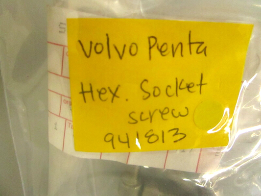 *NEW OEM* 0750 Volvo Penta HEX SOCKET SCREW 941813