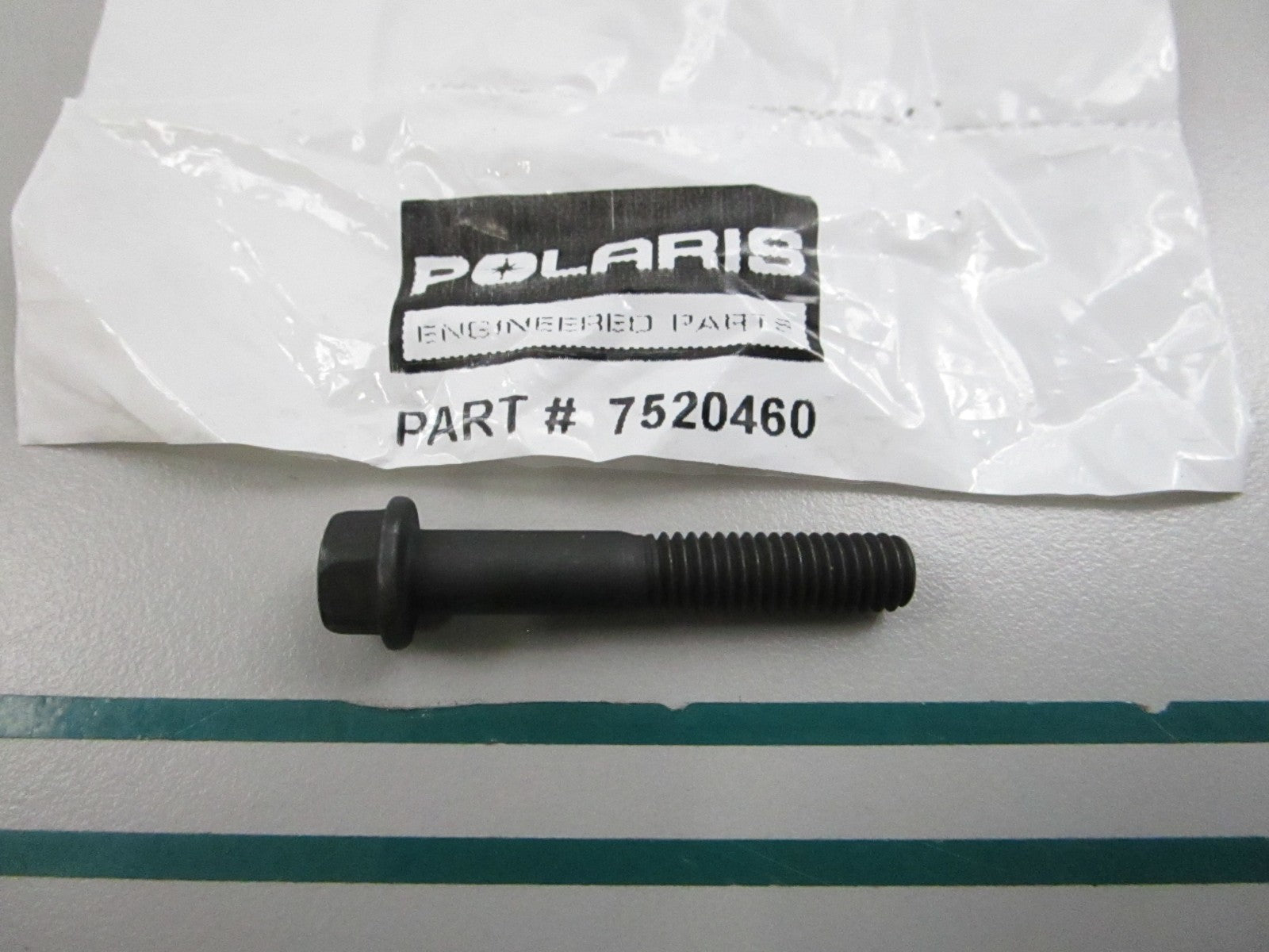 NEW OEM 7520460 Polaris Screw 0810