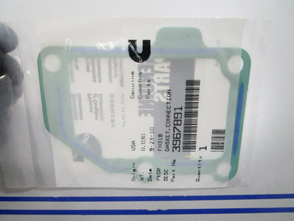 *NEW OEM* 0810 Cummins Connection Gasket 3967891