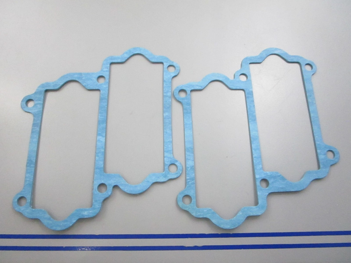 NEW OEM (LOT OF 2) 13121-87D10 Suzuki Gasket 0810