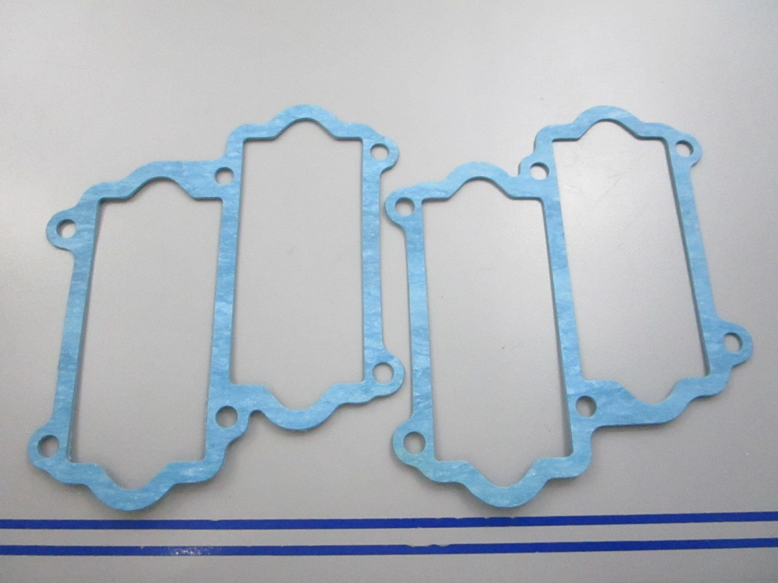 NEW OEM (LOT OF 2) 13121-87D10 Suzuki Gasket 0810