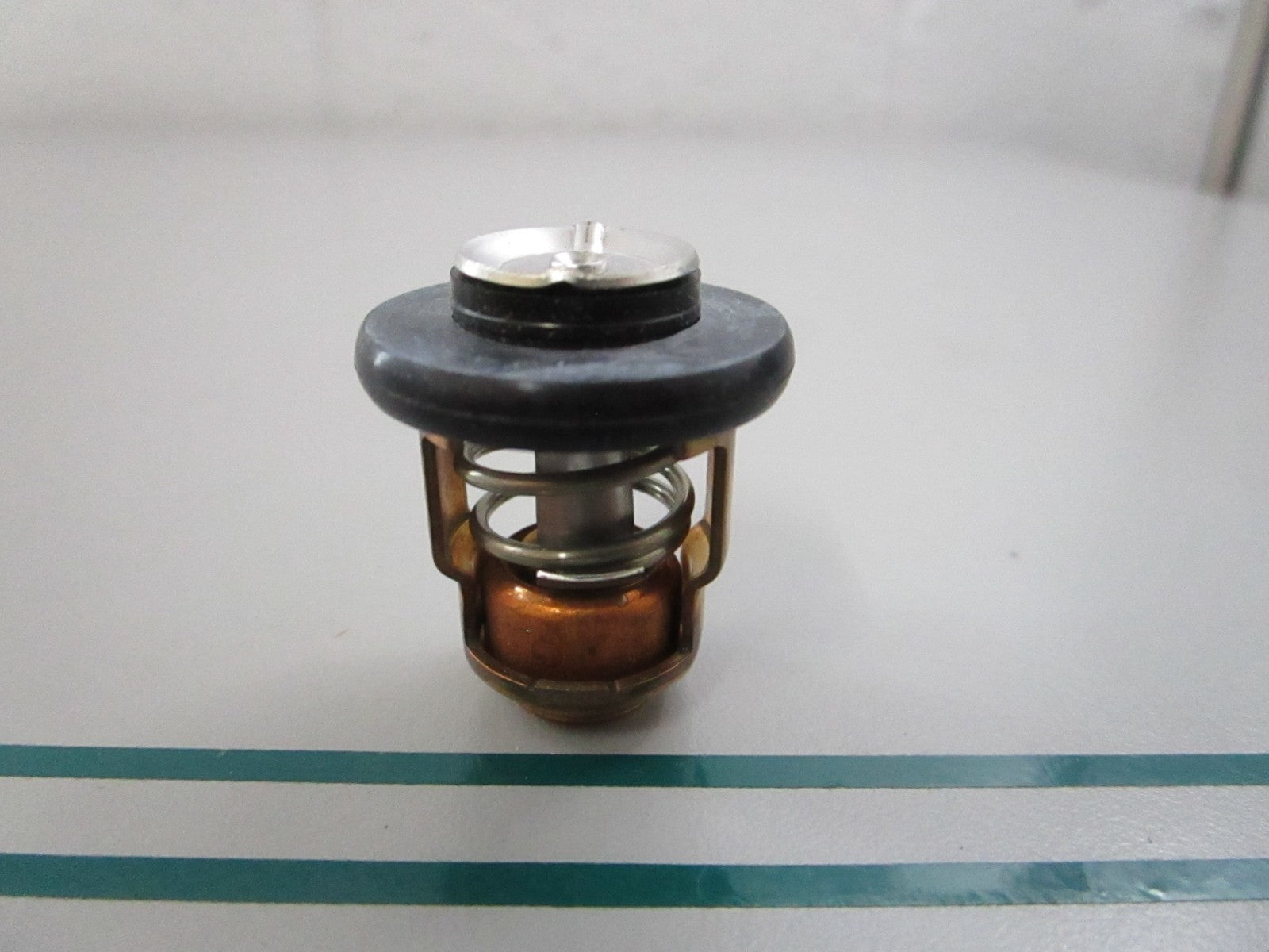 NEW OEM 688-12411-10-00 Yamaha Thermostat 0810