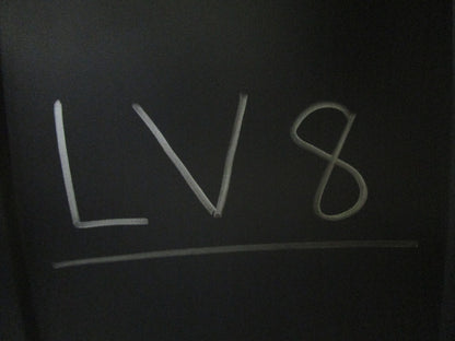 *NEW* 0810 Champion Spark Plug L-2G