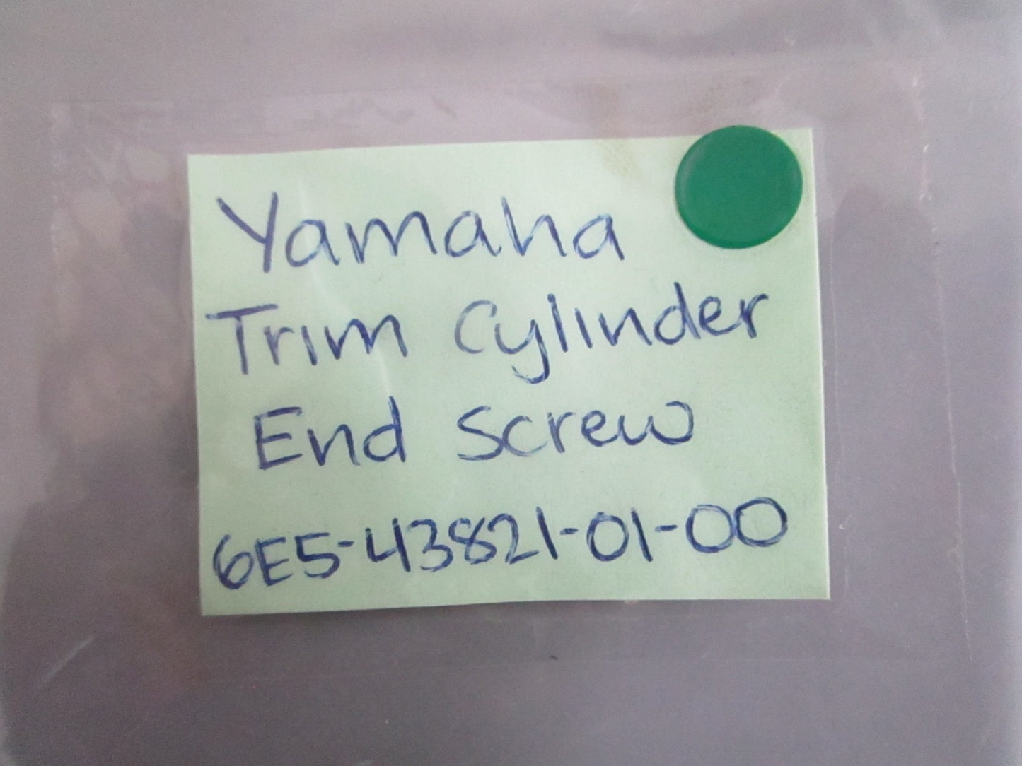 NEW OEM 6E5-43821-01-00 Yamaha Trim Cylinder End Screw 0820