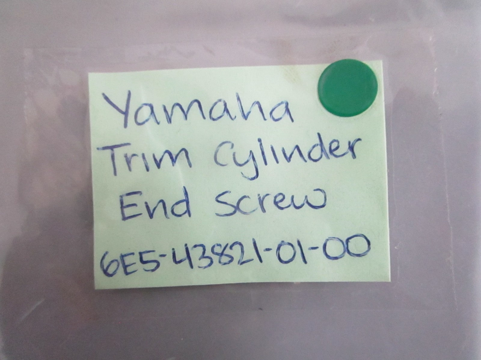 NEW OEM 6E5-43821-01-00 Yamaha Trim Cylinder End Screw 0820