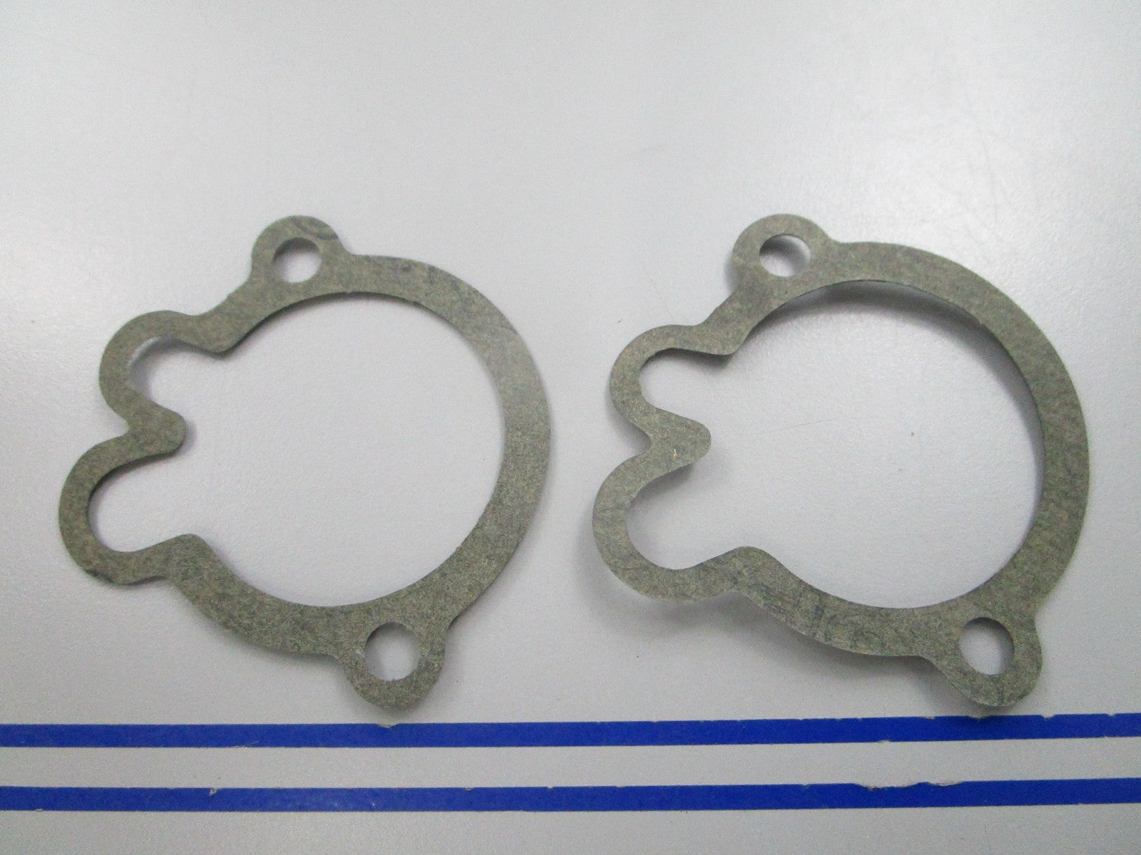 NEW OEM (LOT OF 2) 305441 0305441 OMC Johnson Evinrude Gasket 0810