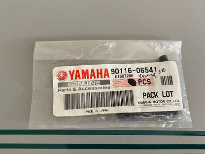 NEW OEM (LOT OF 2) 90116-06541-00 Yamaha Stud 0810