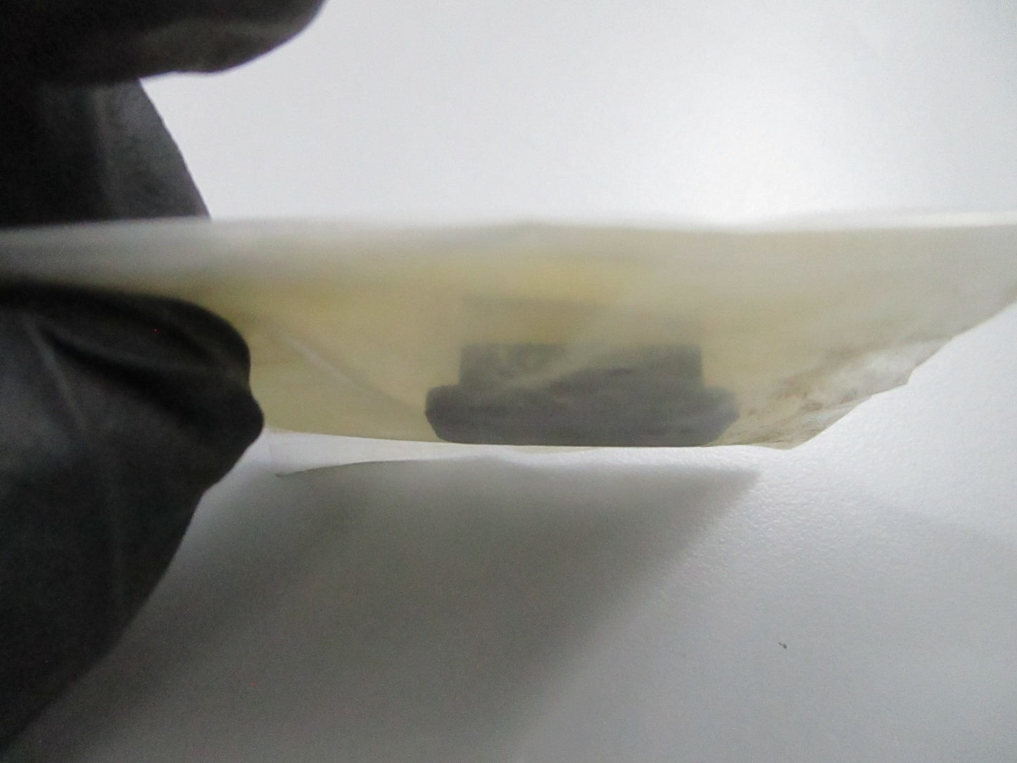 *NEW OEM* 0810 Tohatsu Tilt Switch Plug 3A3-84452-0 3A3844520