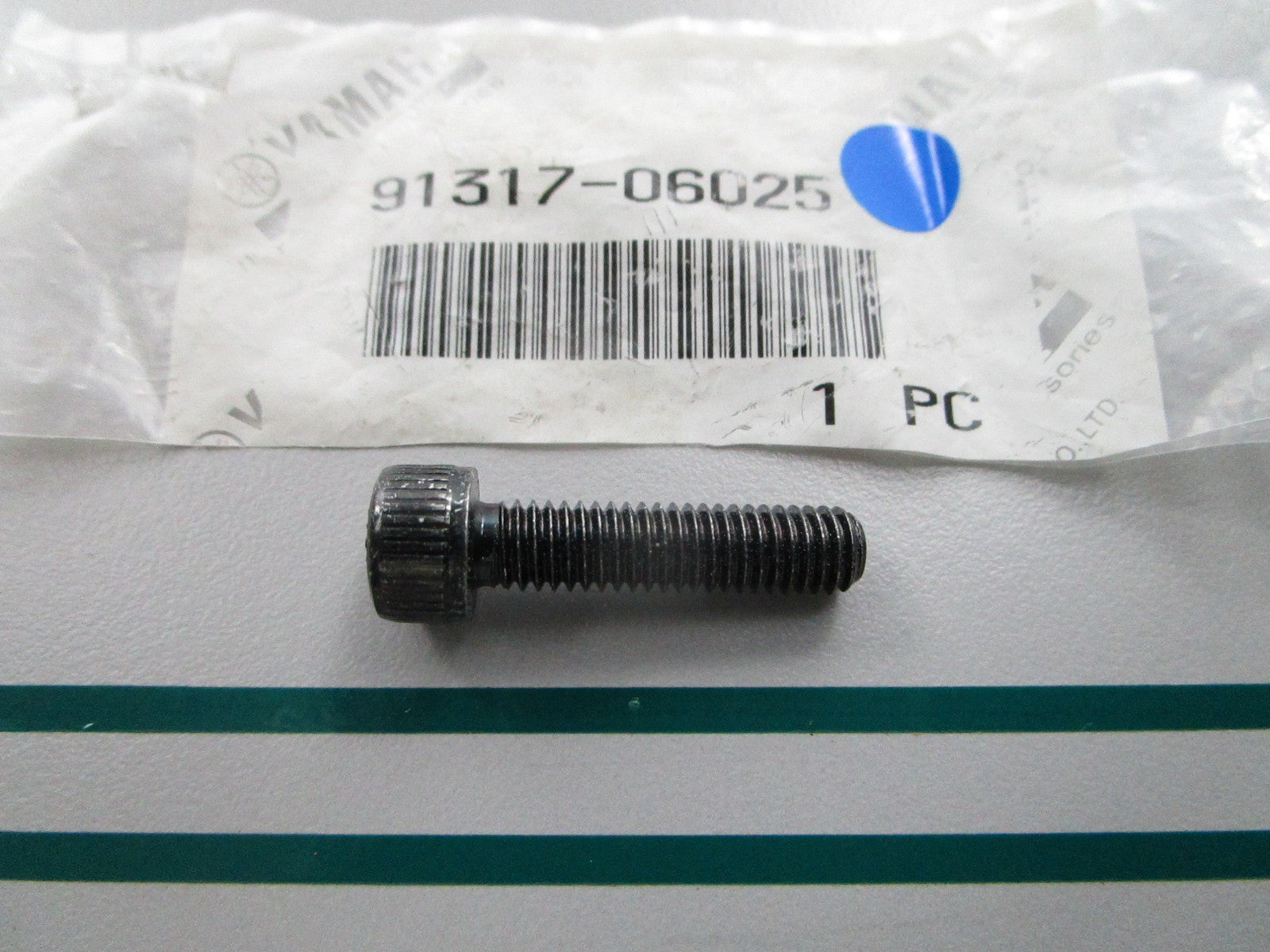 NEW OEM 91317-06025 Yamaha Bolt 0810
