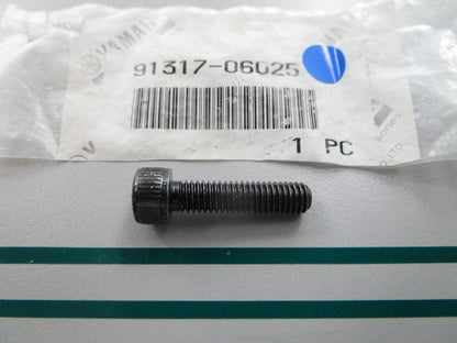 NEW OEM 91317-06025 Yamaha Bolt 0810