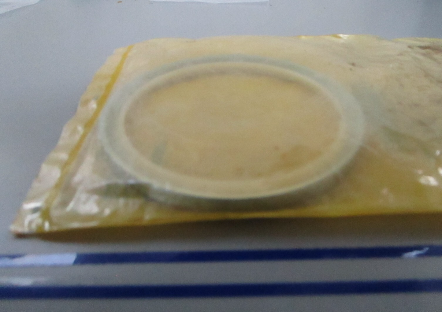 *NEW OEM* 0810 CAT Seal 1772573