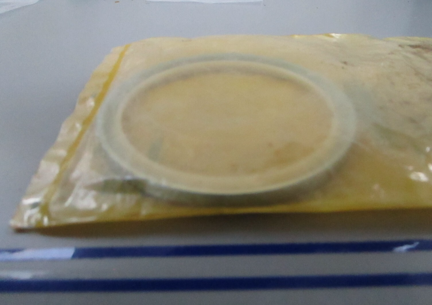 *NEW OEM* 0810 CAT Seal 1772573