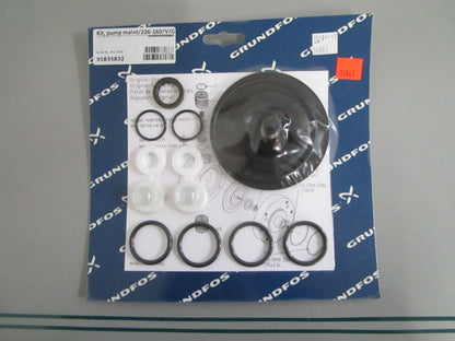 Grundfos 91835832 Pump Maintenance Kit DME 226-160 Viton NOS NEW OEM 0820