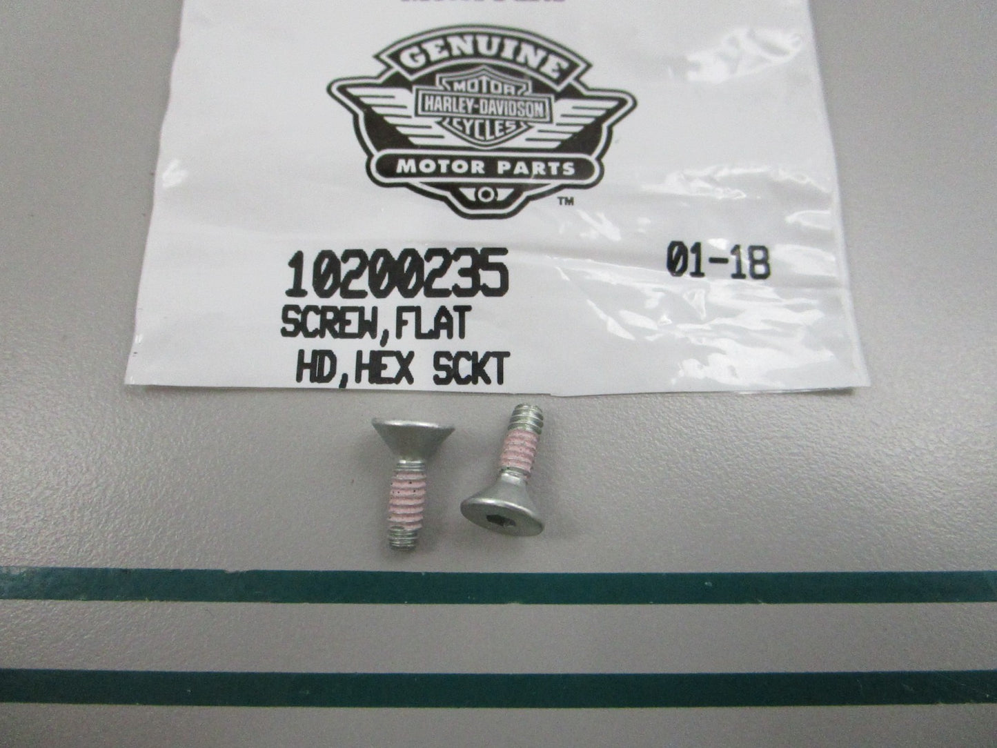 NEW OEM (LOT OF 2) 10200235 Harley Davidson Flat Screw 0810