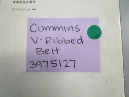 NEW OEM 3975127 Cummins V-Ribbed Belt 0820