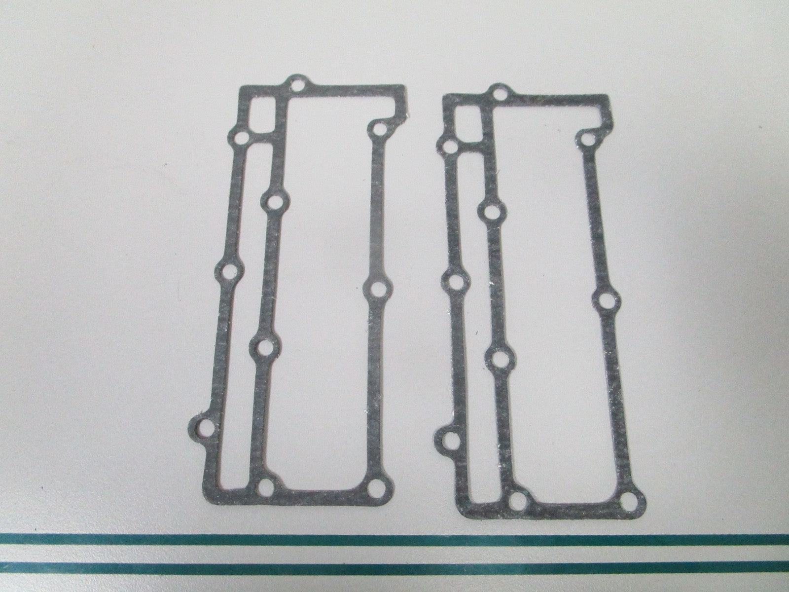 NEW OEM (LOT OF 2) 202580 0202580 OMC Johnson Evinrude Gasket 0810