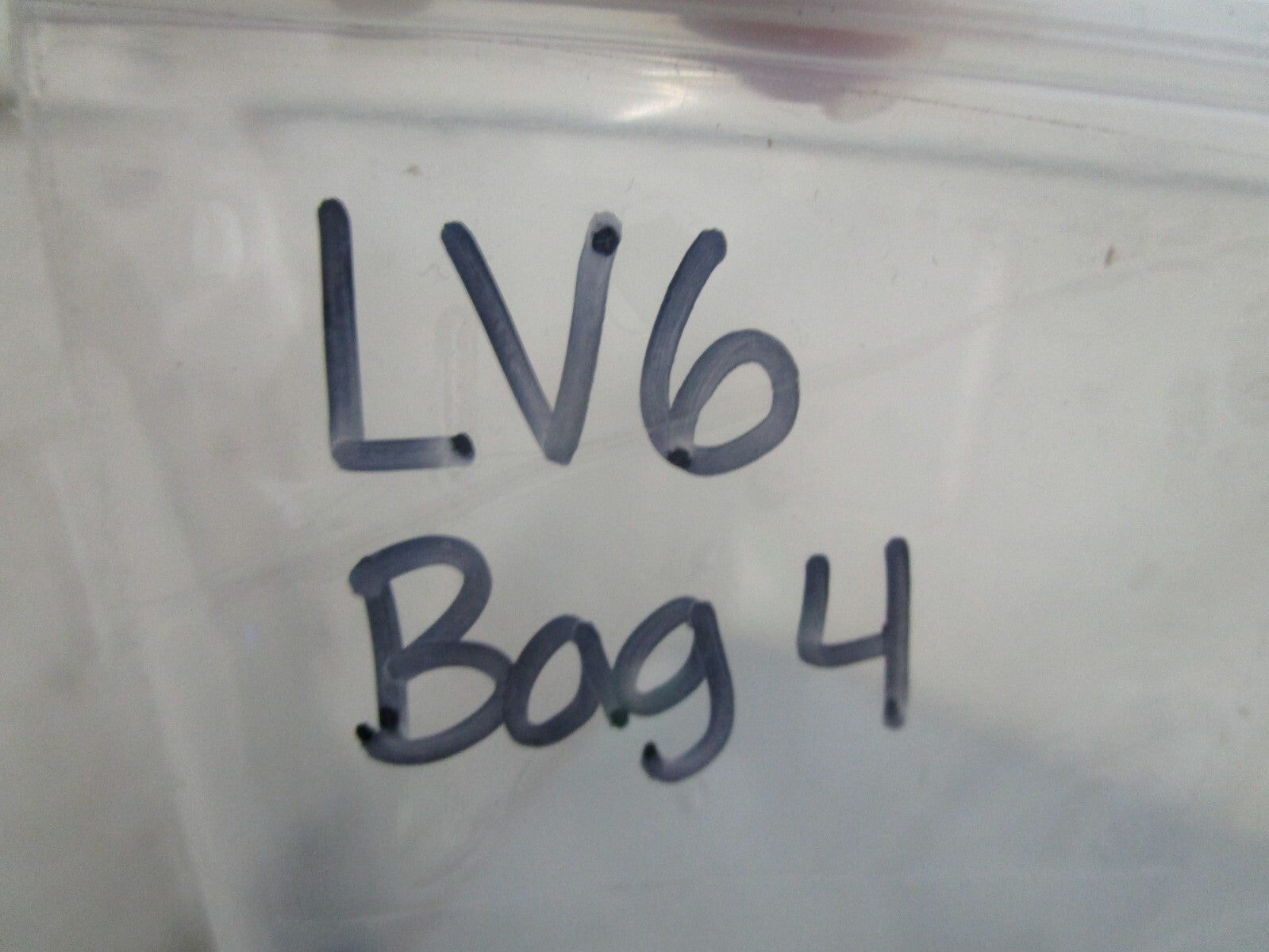 *NEW OEM* 0750 OMC Johnson Evinrude SPRING 333858 0333858