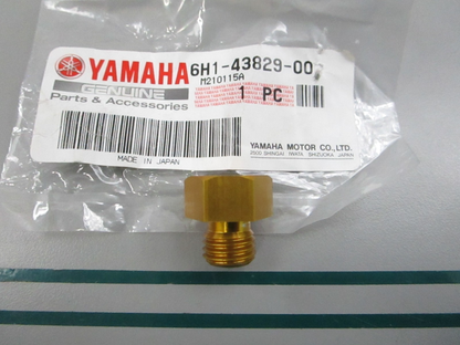 NEW OEM 6H1-43829-00-00 Yamaha Reservoir Plug 0810