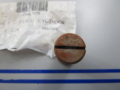 *NEW OEM* 0810 Crown Pivot Cylinder Shaft CR82579