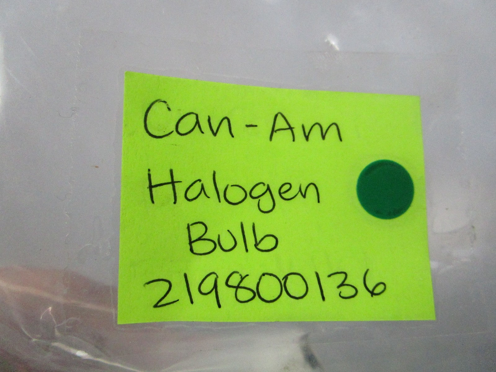NEW OEM 219800136 Can-Am Halogen Bulb 0810