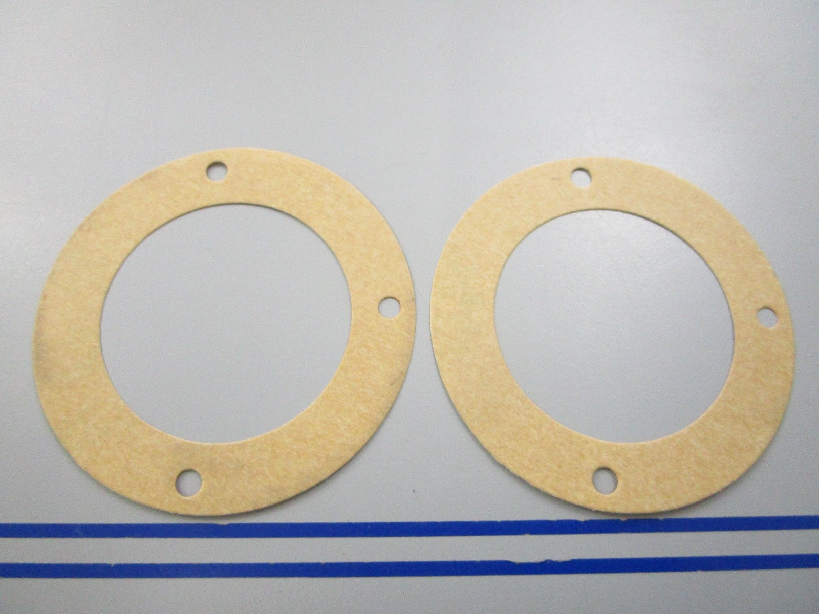 NEW OEM (LOT OF 12) 17472-93100 Suzuki Water Plate Gasket 0810