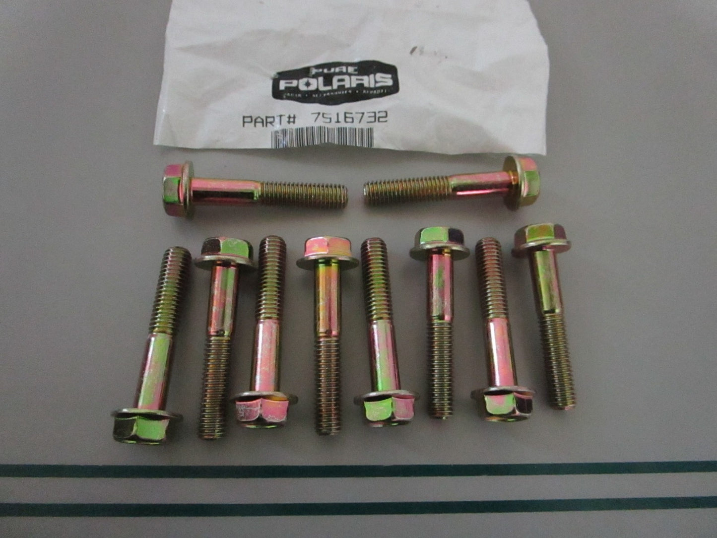 NEW OEM (LOT OF 10) 7516732 Polaris Bolt 0810