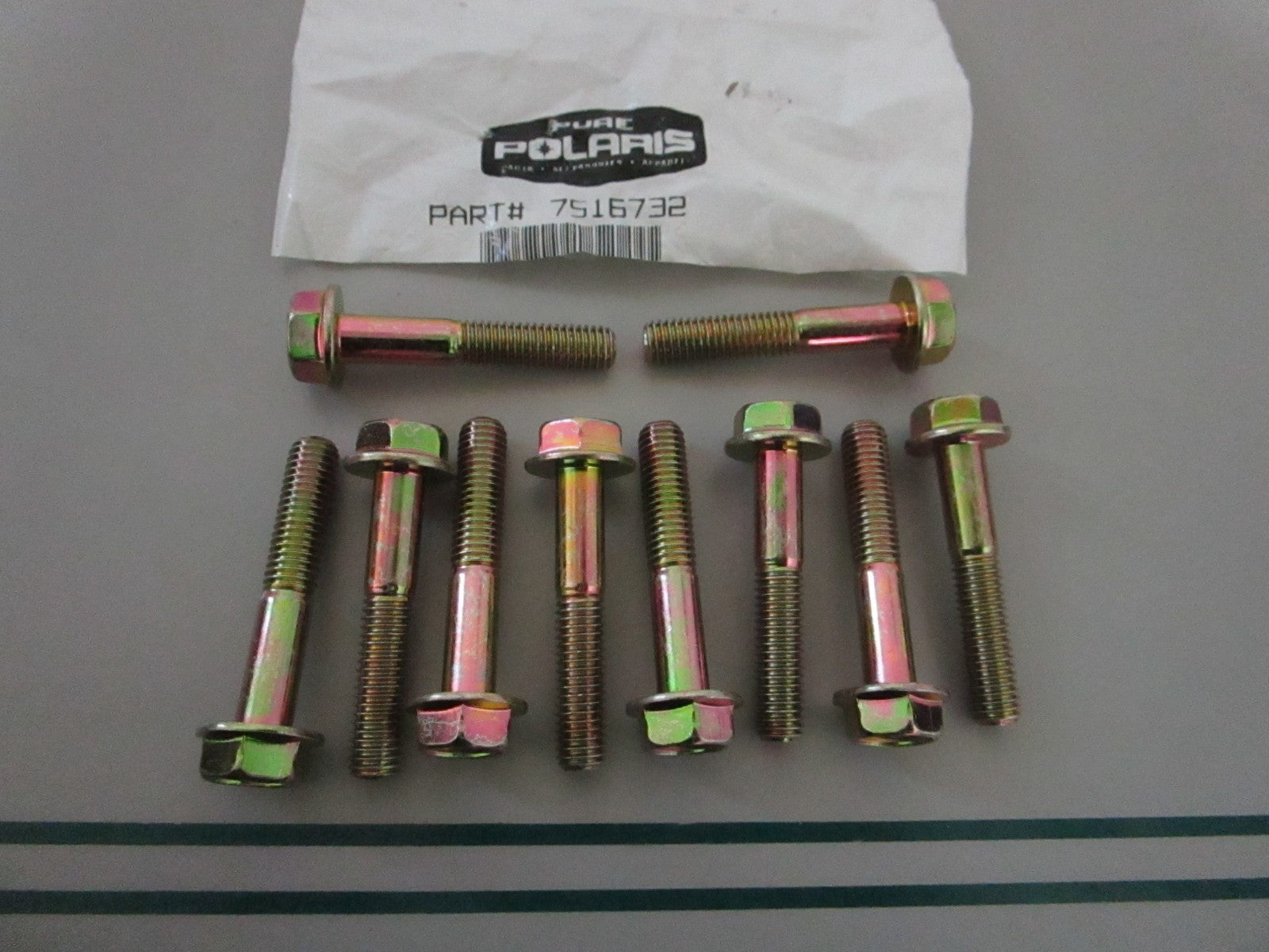 NEW OEM (LOT OF 10) 7516732 Polaris Bolt 0810