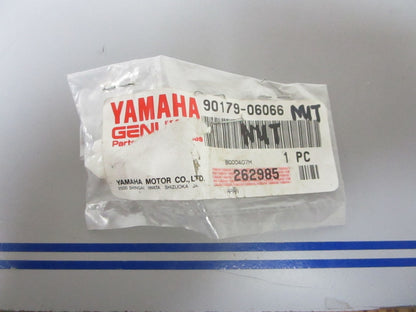 *NEW OEM* 0810 Yamaha Nut 90179-06066-00