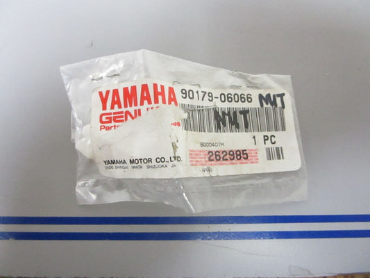 *NEW OEM* 0810 Yamaha Nut 90179-06066-00
