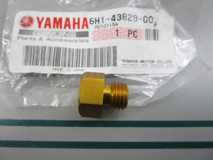 NEW OEM 6H1-43829-00-00 Yamaha Reservoir Plug 0810