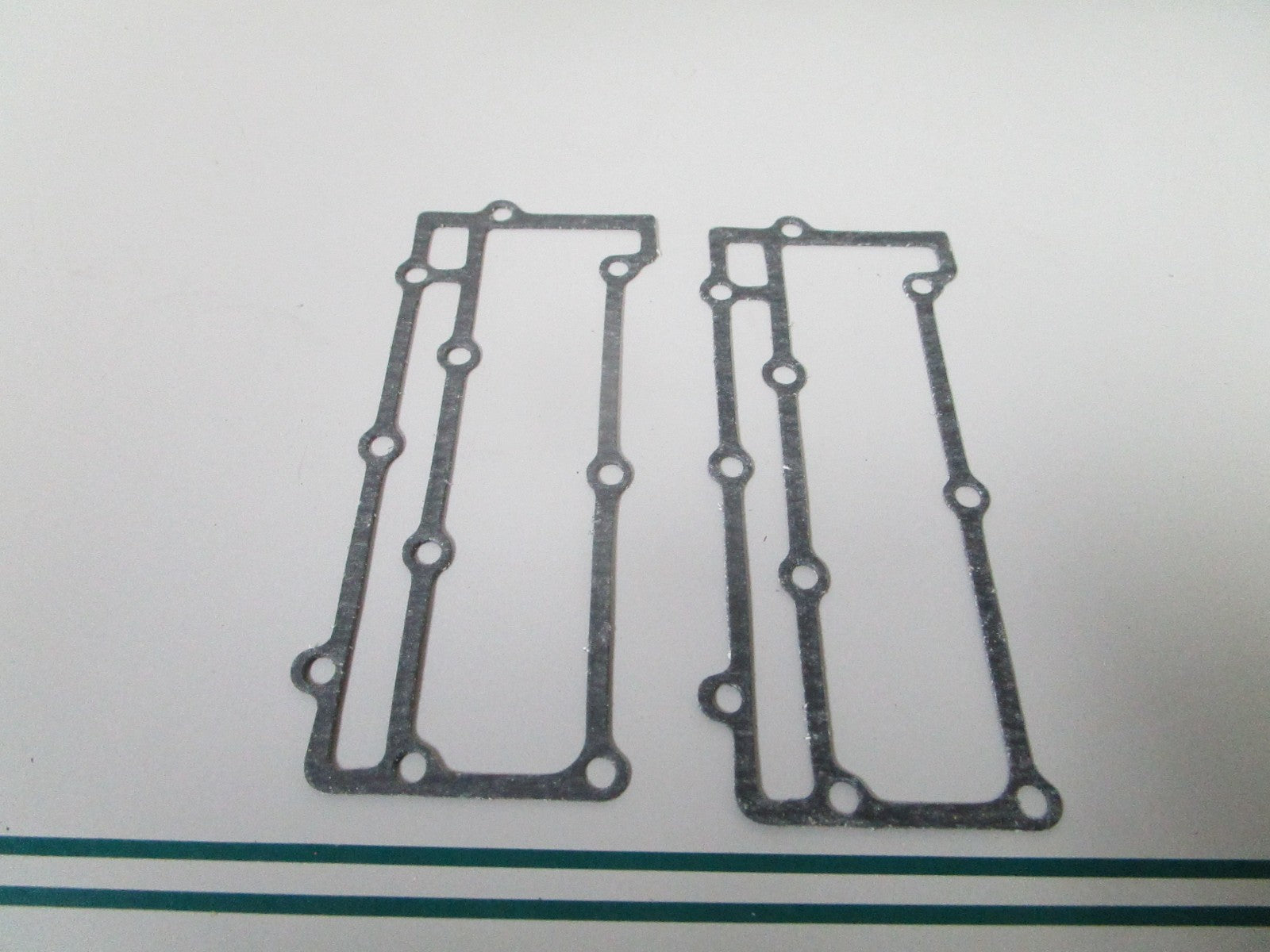 NEW OEM (LOT OF 2) 202580 0202580 OMC Johnson Evinrude Gasket 0810