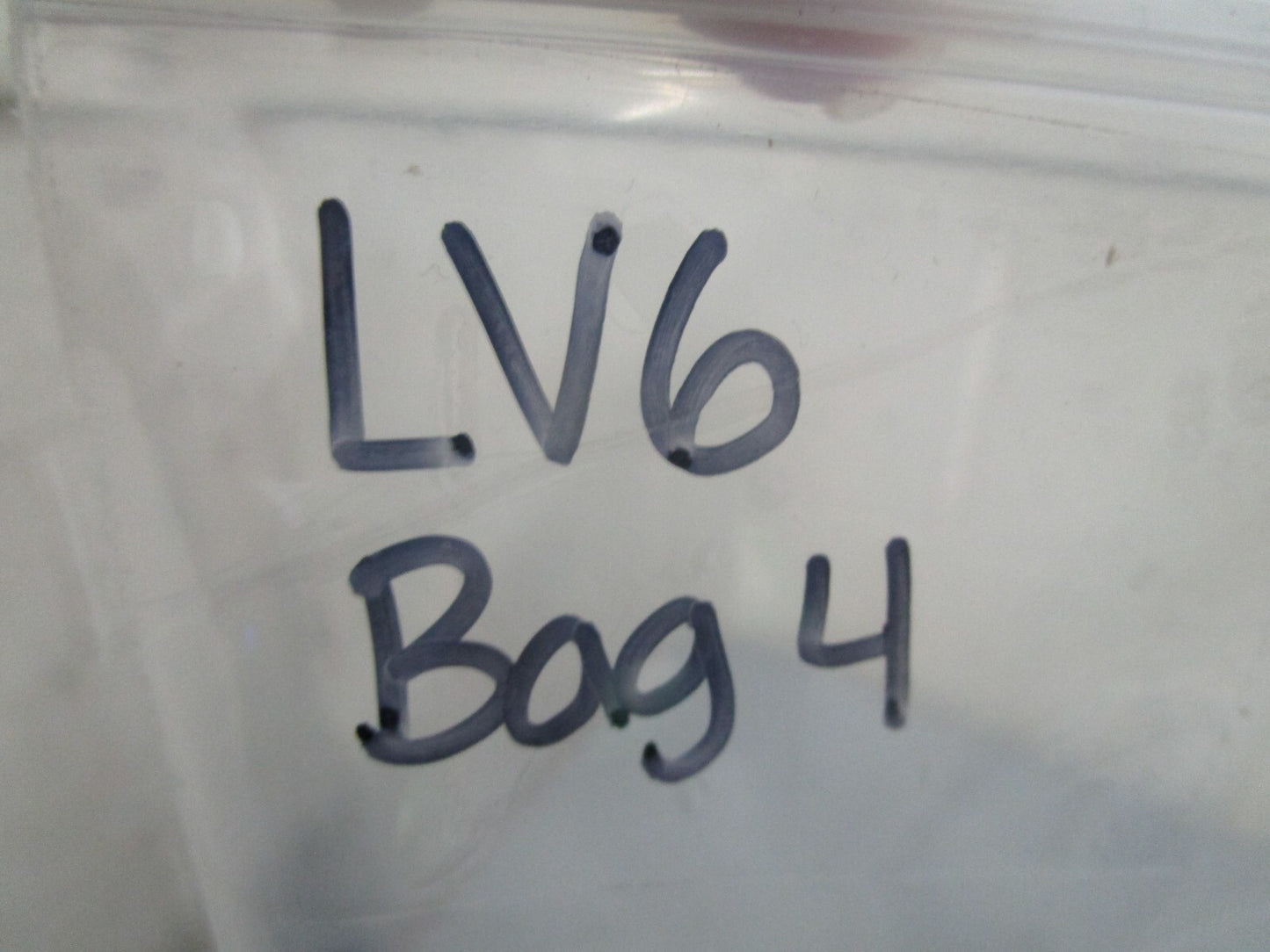 *NEW OEM* 0750 OMC Johnson Evinrude LEAF VALVE PLATE 386842 0386842