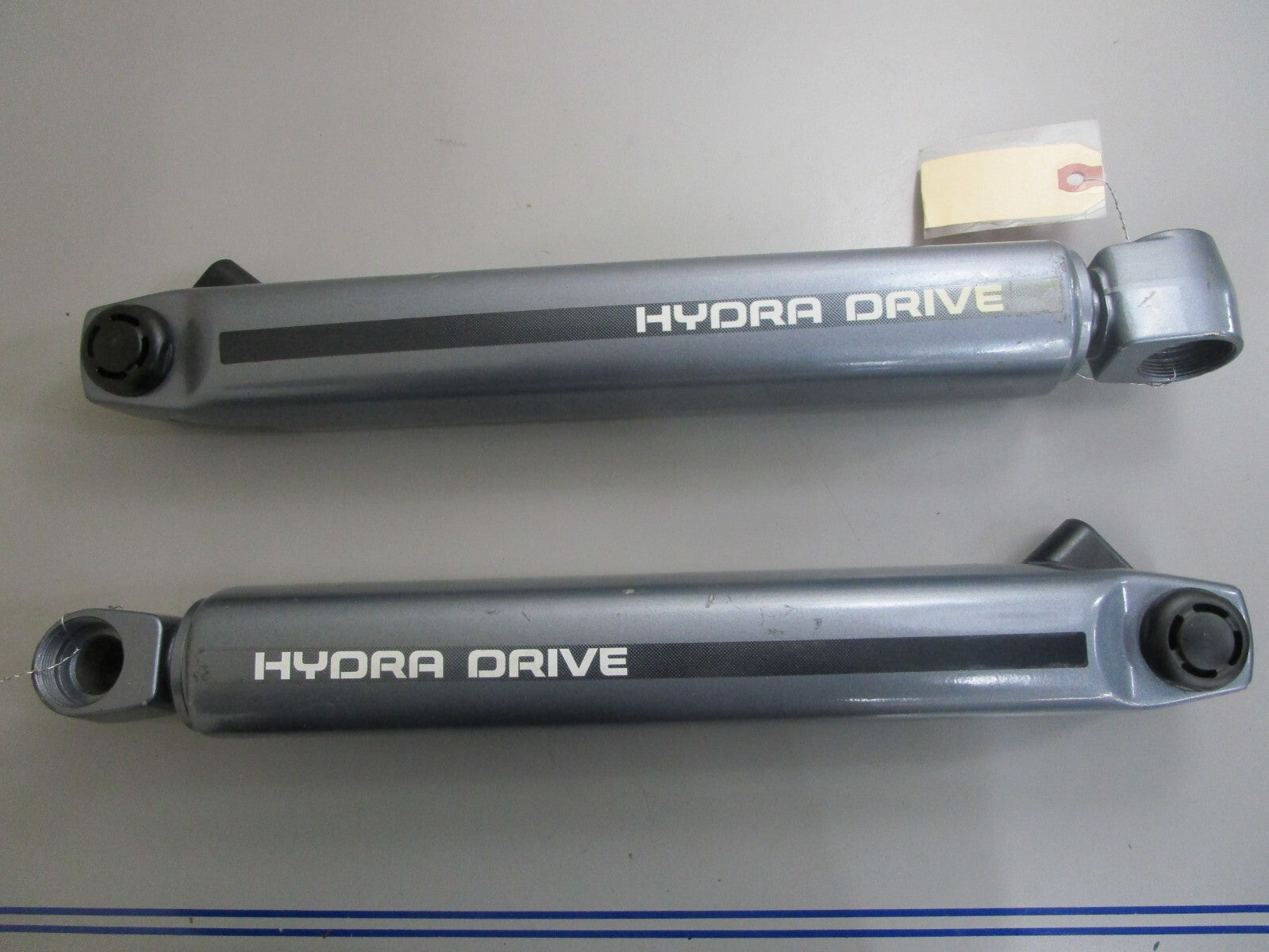 *NEW OEM* 0820 Yamaha Pair Tilt Cylinder Assembly 6T4-4380E-00-EK
