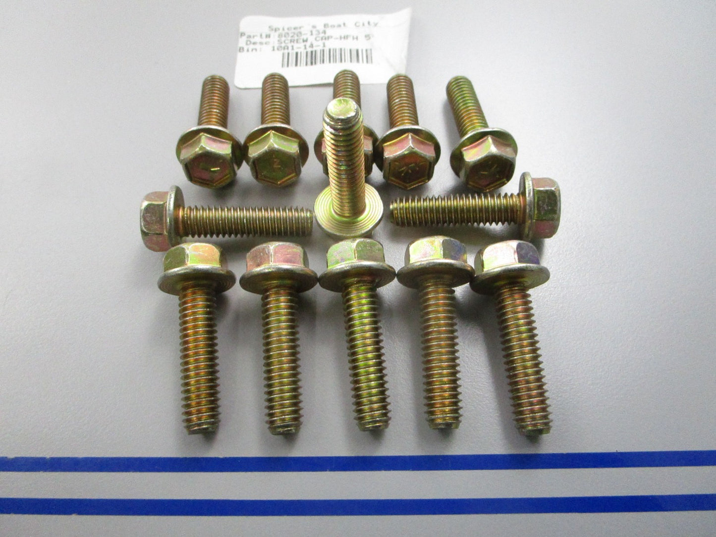 NEW OEM (LOT OF 13) 8020-134 Arctic Cat Cap Screw 0810