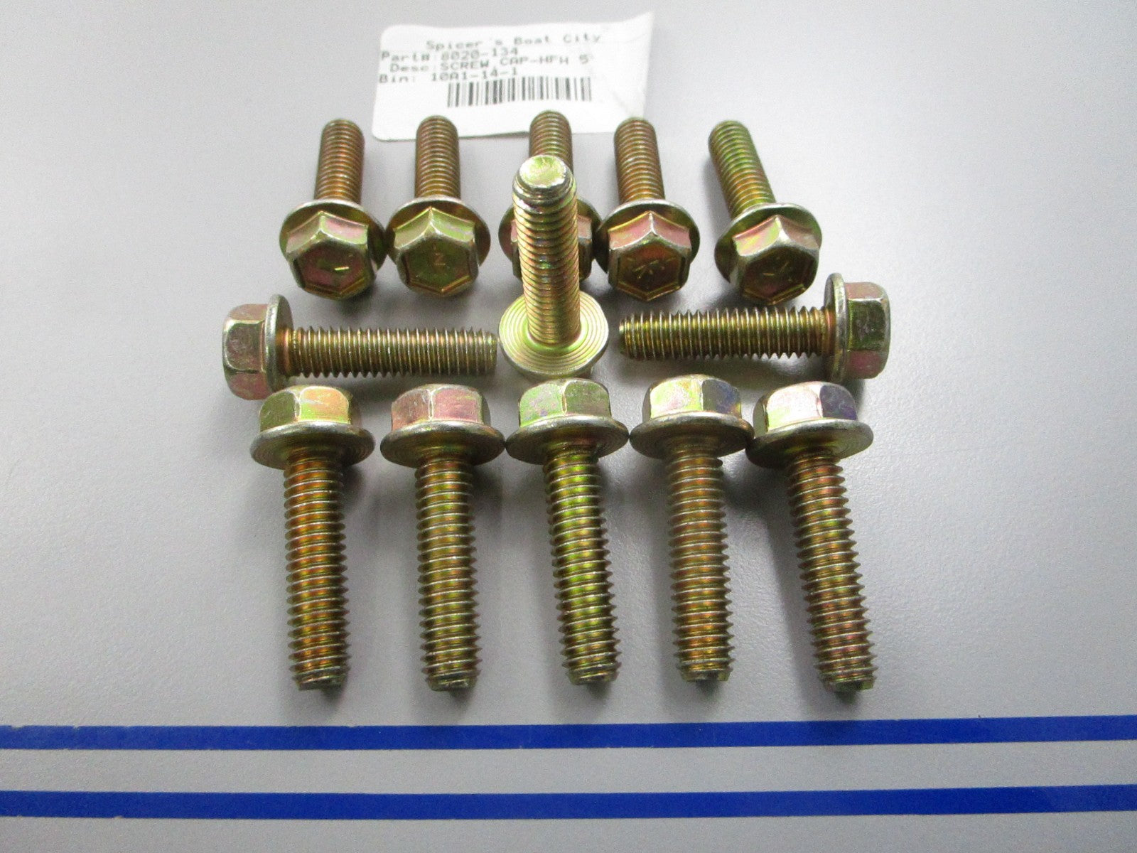 NEW OEM (LOT OF 13) 8020-134 Arctic Cat Cap Screw 0810