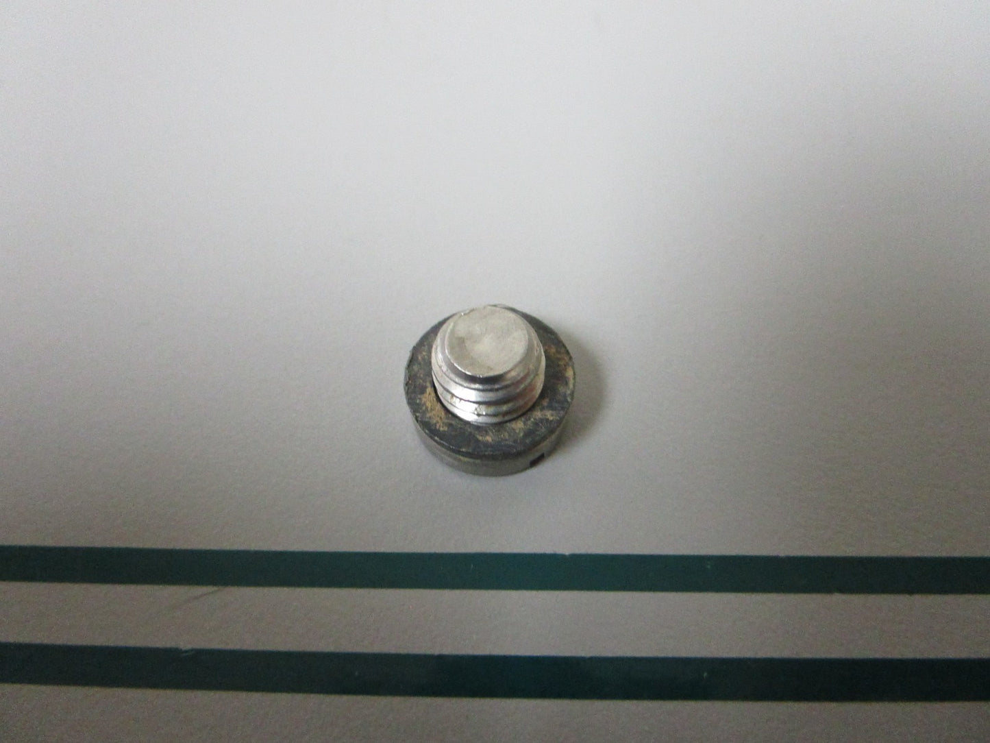 NEW OEM 307551 0307551 OMC Johnson Evinrude Drain Plug Screw 0810