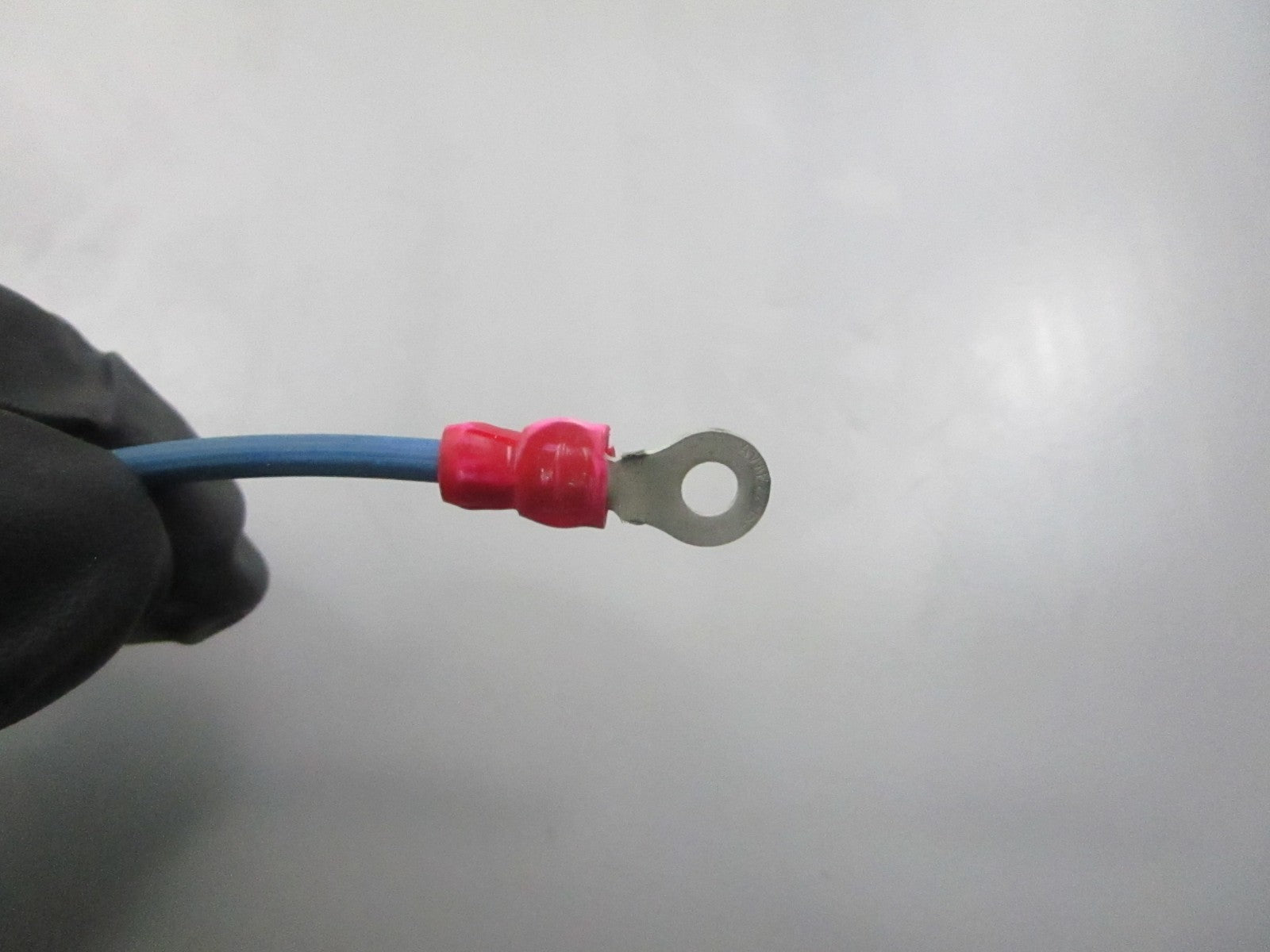 NEW OEM 581231 0581231 OMC Johnson Evinrude Motor Lead Assembly 0810