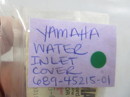 NEW OEM 689-45215-01-00 Yamaha Water Inlet Cover 0810