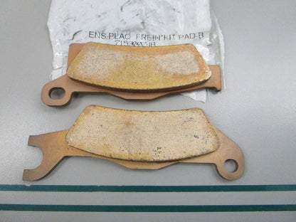 NEW OEM 715900248 Can-Am Brake Pad Kit 0810