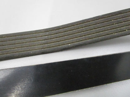 NEW 5060975 Dayco Serpentine Belt 0810