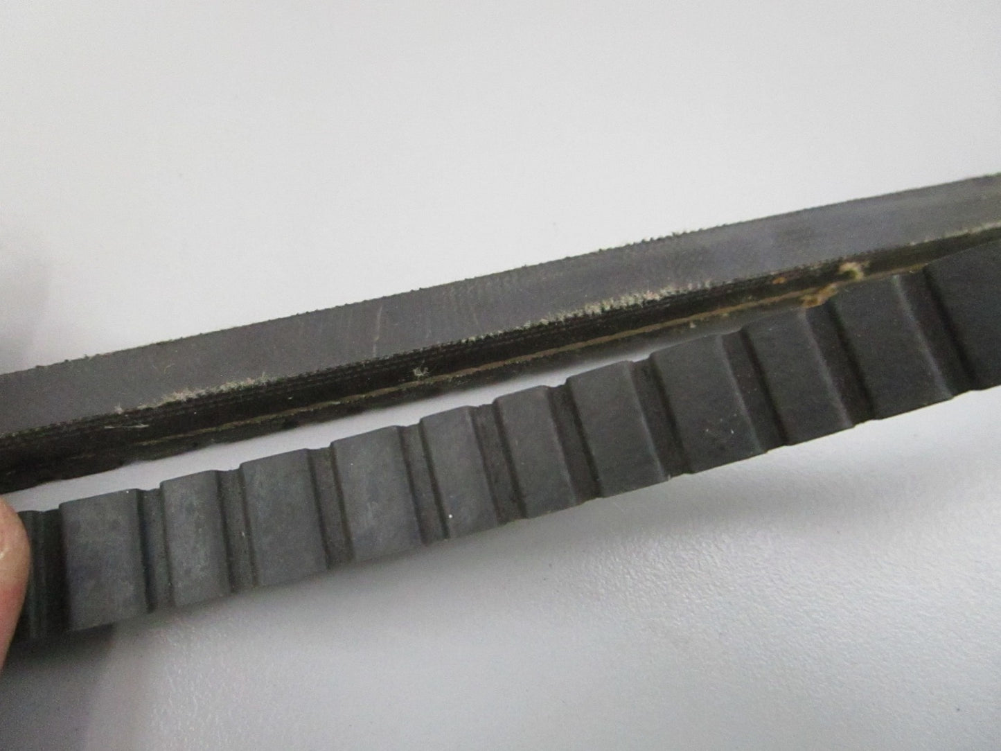 NEW 15470 Dayco Serpentine Belt 0810
