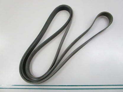 NEW 5060868 Dayco Serpentine Belt 0810