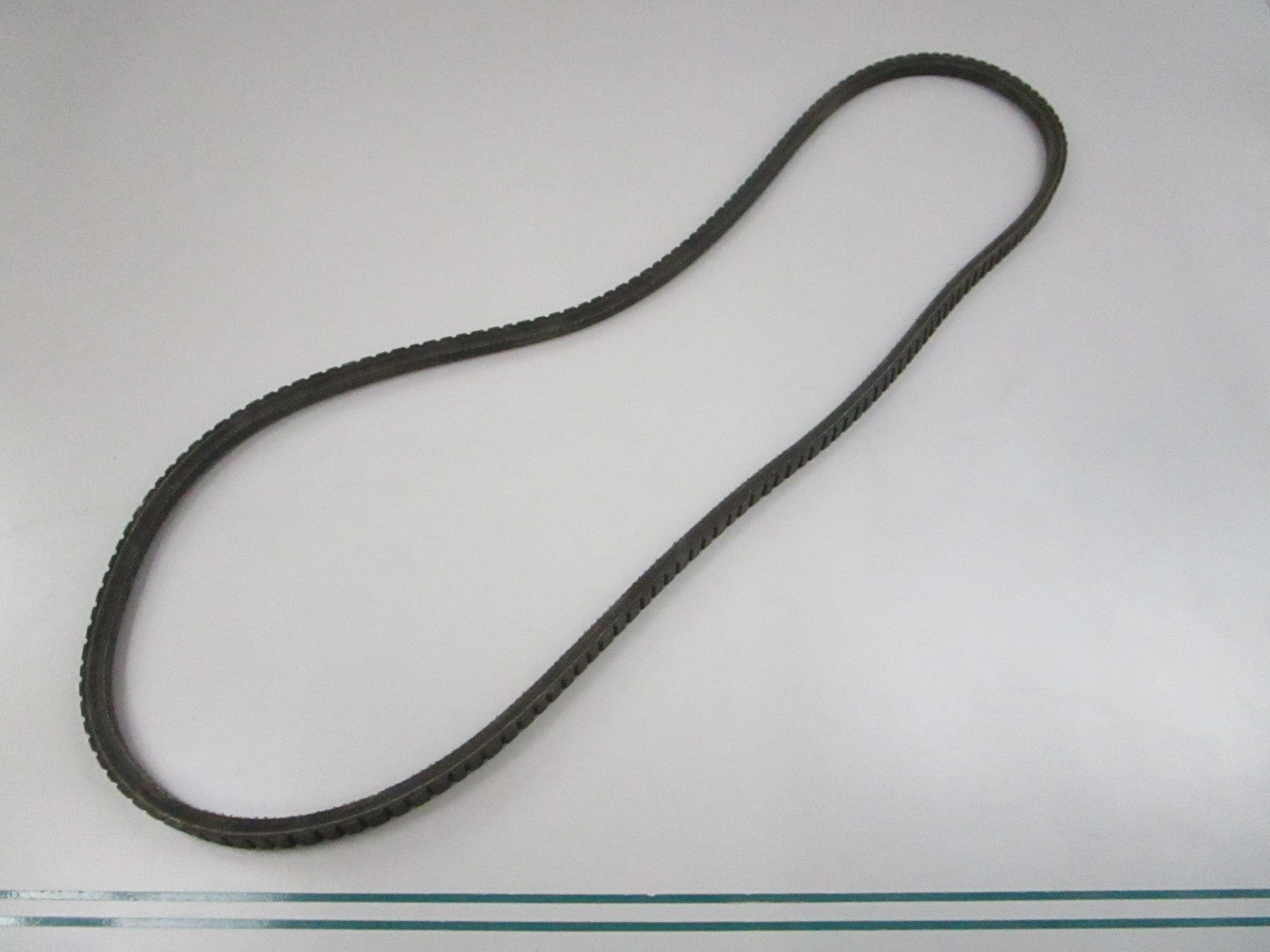 NEW 15560 Dayco Serpentine Belt 0810