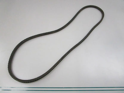 NEW 15560 Dayco Serpentine Belt 0810