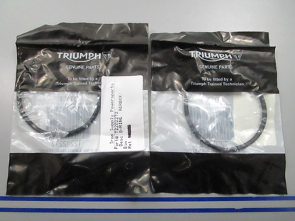 *NEW OEM* (LOT OF 2) 0810 Triumph O-Ring T2202272