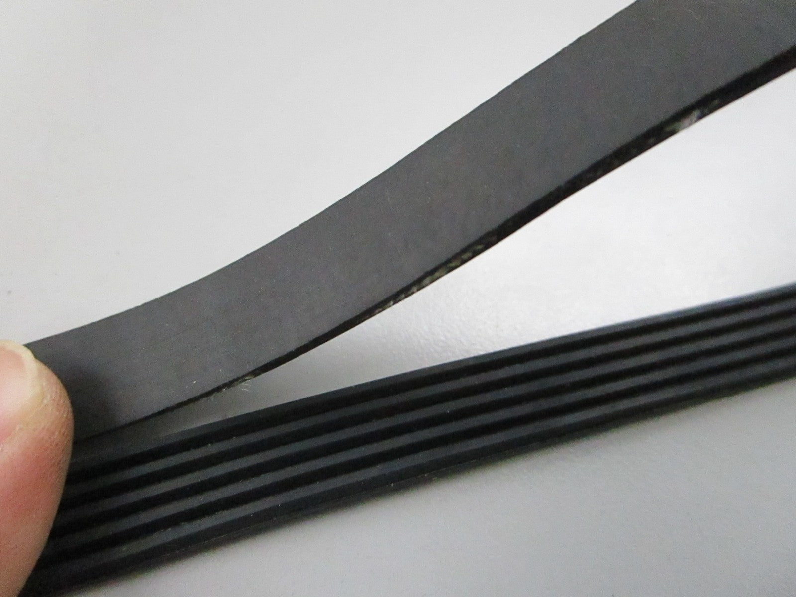 NEW OEM W11611297 Whirlpool Belt 0810