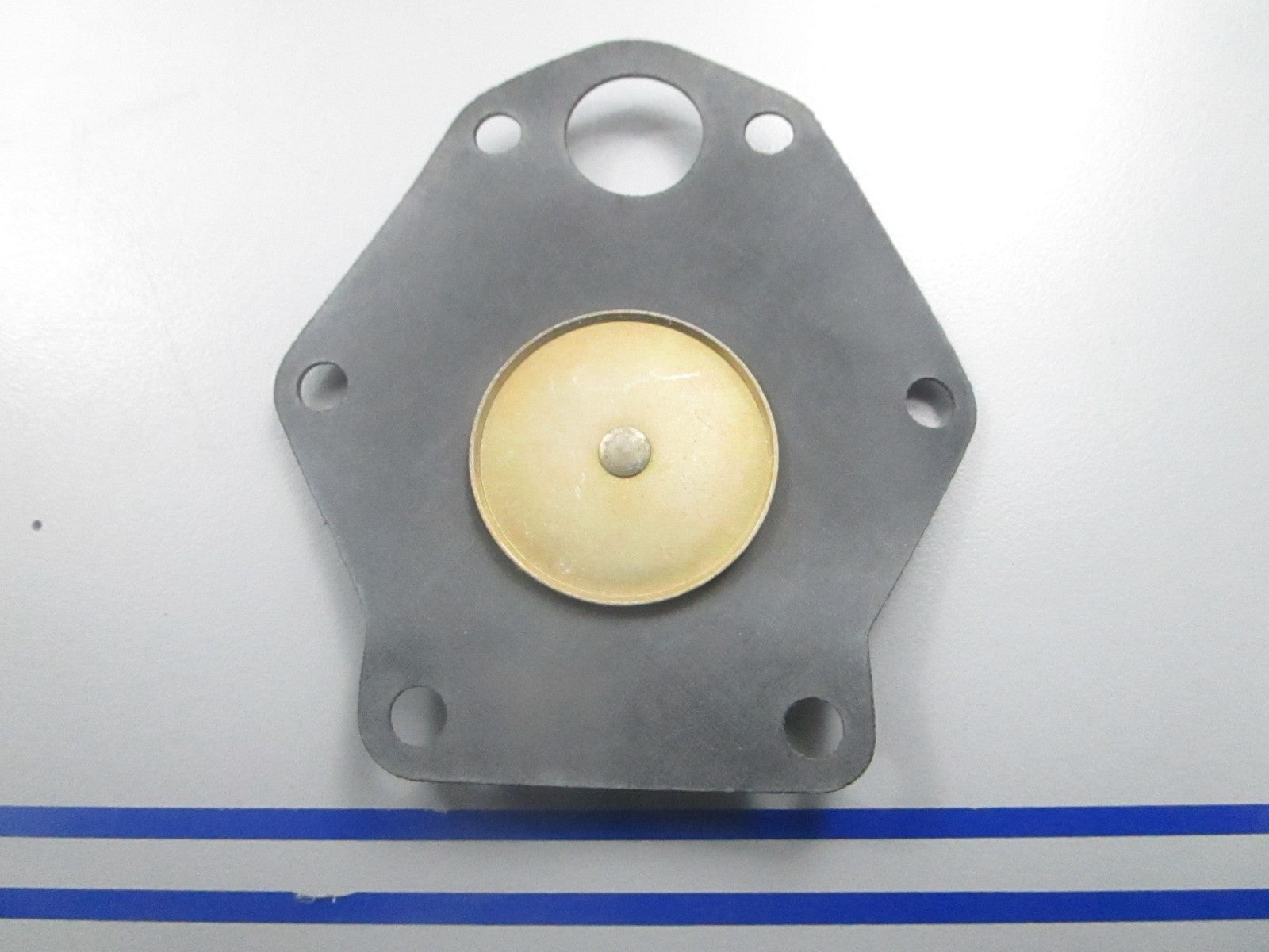 *NEW OEM* 0810 OMC Johnson Evinrude Diaphragm & Plate 333451 0333451