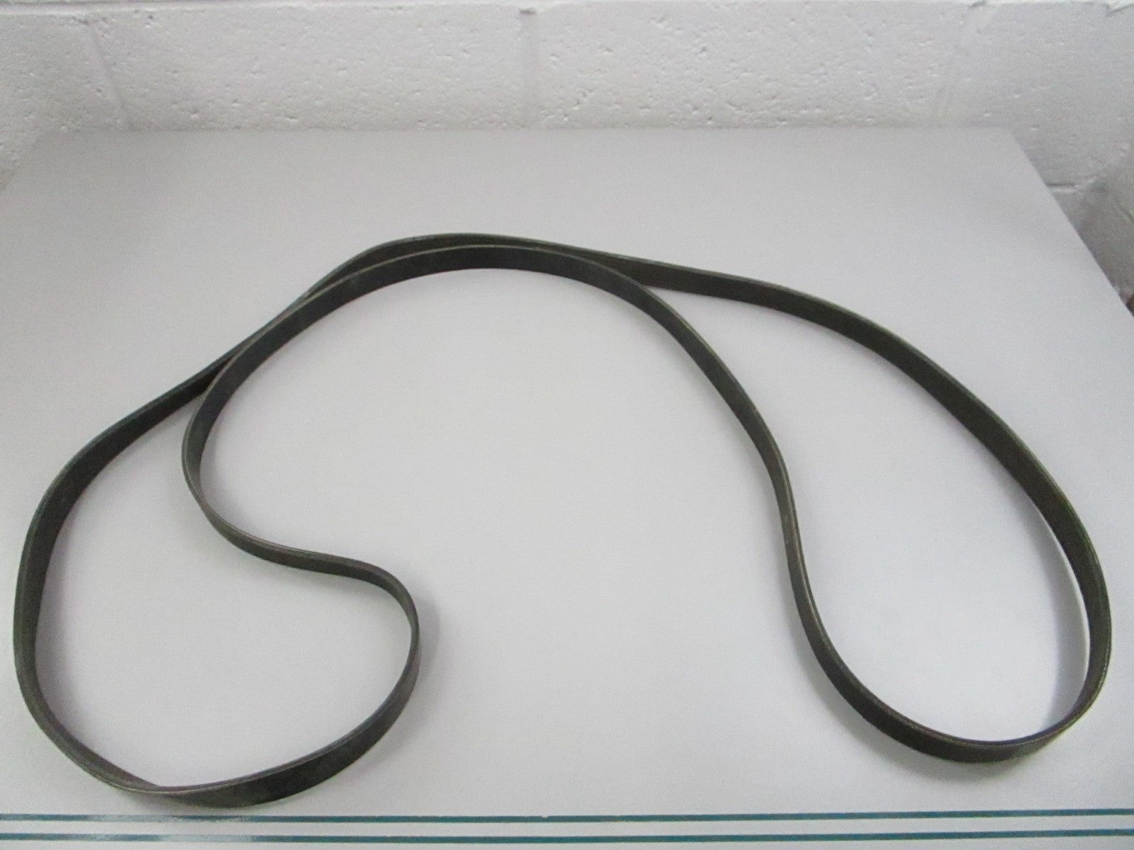 NEW 5060975 Dayco Serpentine Belt 0810
